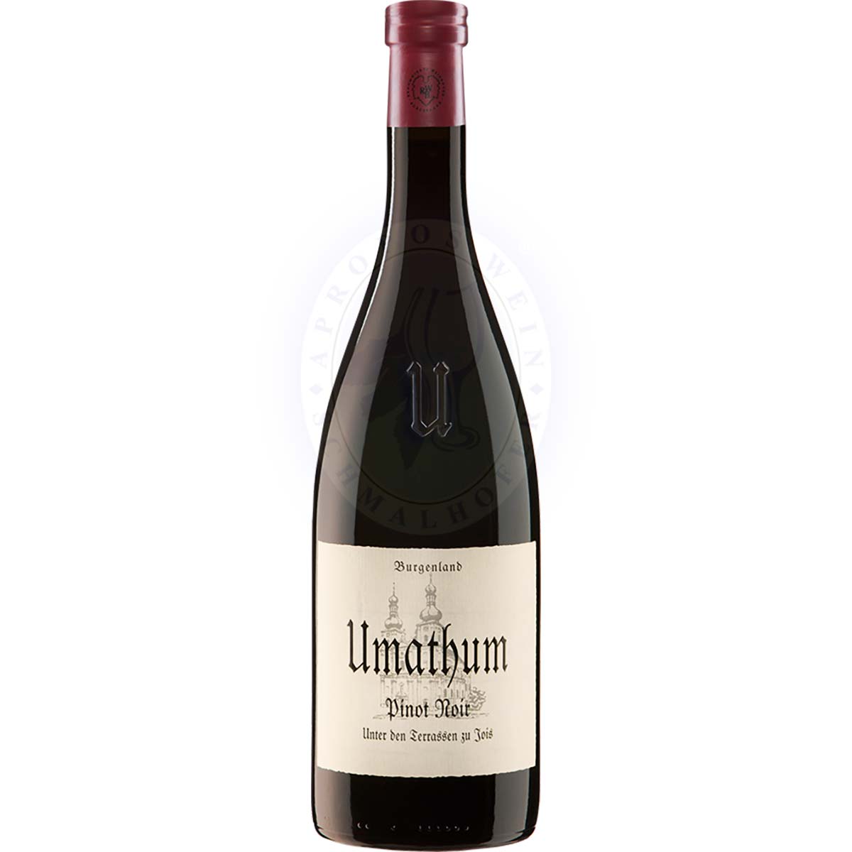 Pinot Noir Unter Den Terrassen 2019 Umathum 0,75l