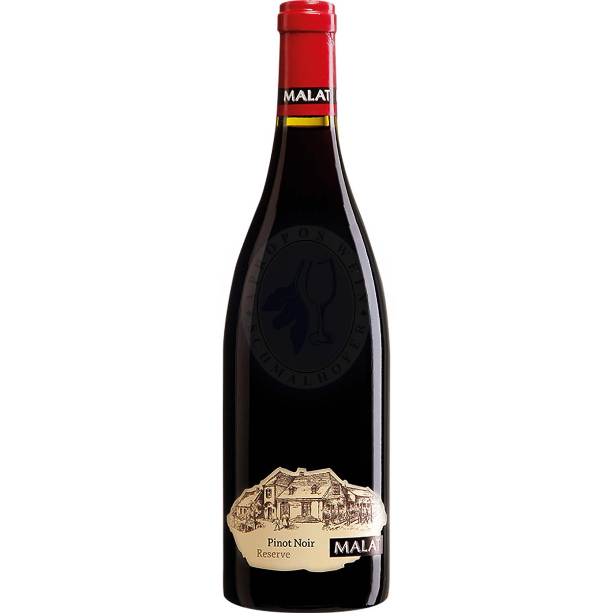Pinot Noir Ried Satzen 2019 Weingut Malat 0,75l