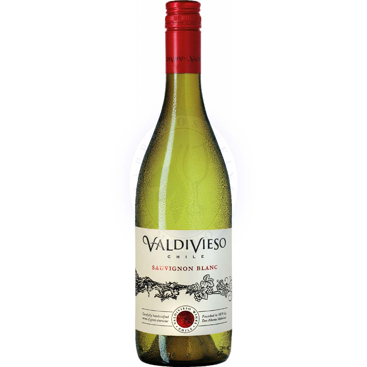 Sauvignon Blanc 2022 Valdivieso 0,75l