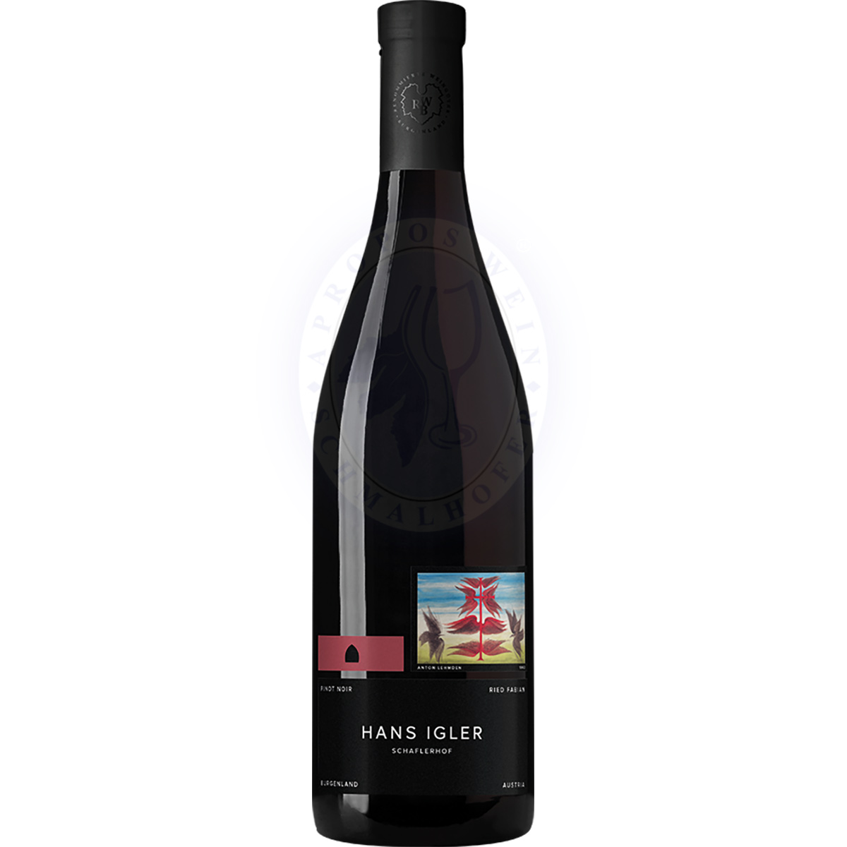 Pinot Noir Ried Fabian 2019 Igler 0,75l