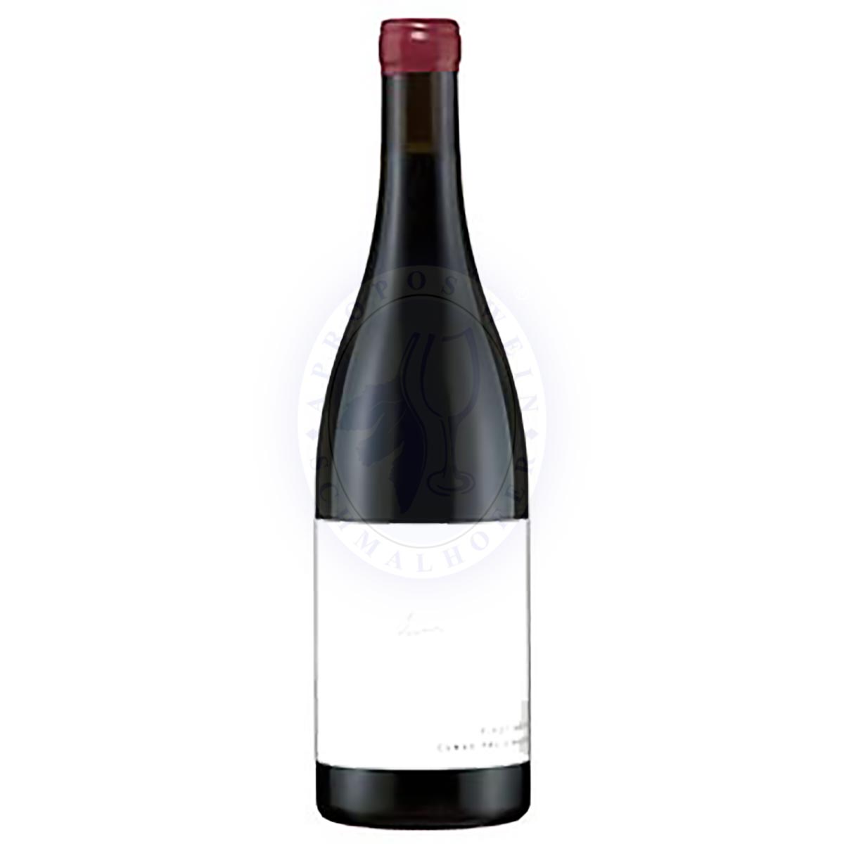 Pinot Noir Bio 2022 Preisinger 0,75l