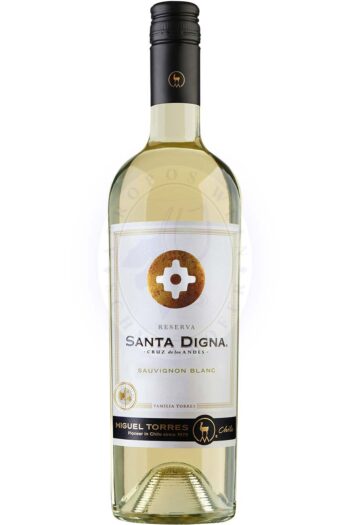 294626 Product 820121