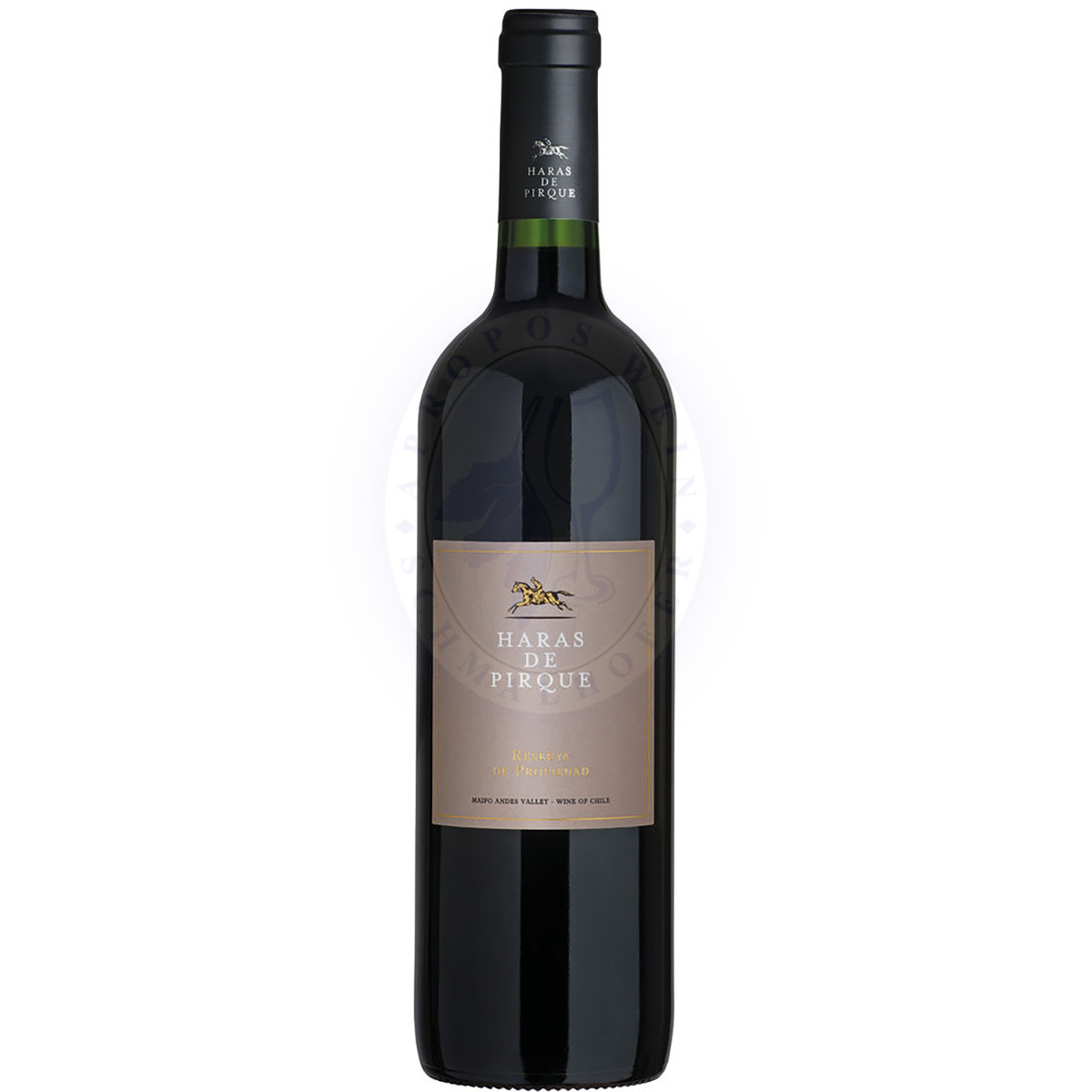 158727 Product Der Reserva 2019 von Haras de Pirque bringt den Maipo-Andes-Charakter präzise ins Glas: tief rubinrot, im Bouquet dunkle Beeren – Schwarzkirsche, Cassis und Brombeere – verwoben mit Noten von Tabak, Zedernholz, feiner Bitterschokolade und einer frischen Kräutrigkeit zwischen Minze, Lorbeer und Eukalyptus. 40623