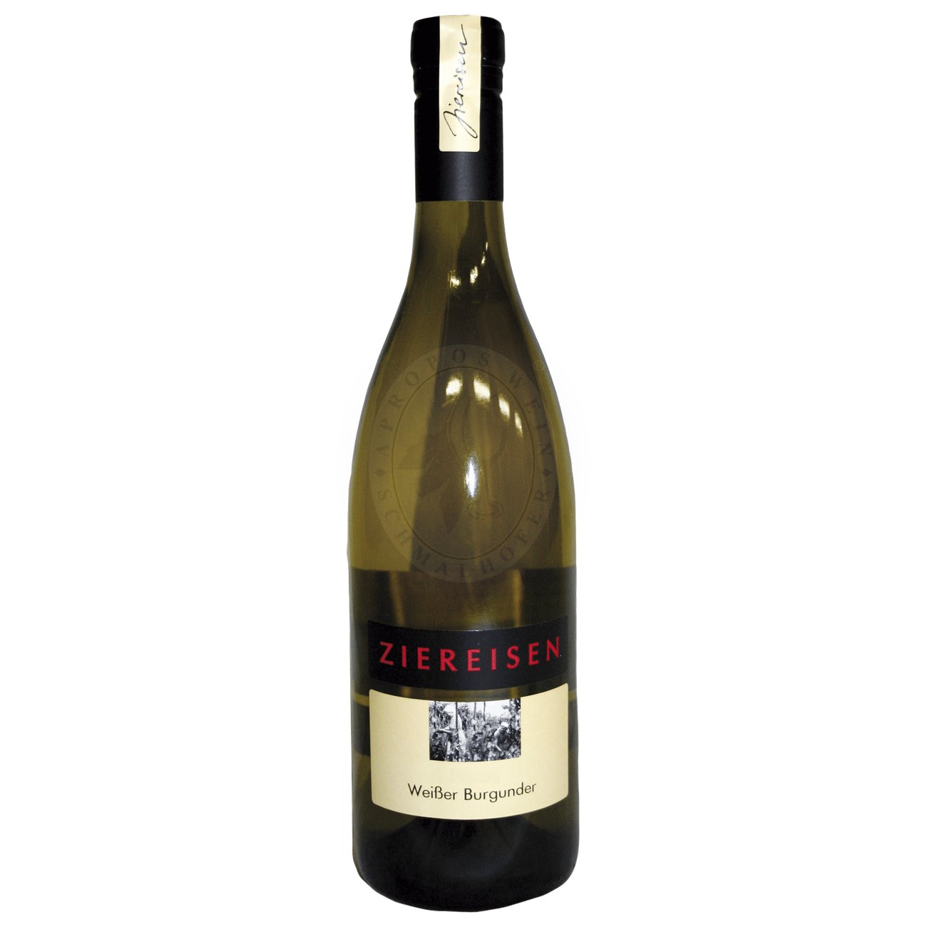 468041 Product Der Weiße Burgunder 2022 vom Weingut Ziereisen ist ein fein strukturierter, puristischer Weißwein vom äußersten Süden Badens, der die klare Handschrift eines Terroir-betonten Winzers mit viel Feingefühl für Balance und Herkunft trägt. Im Glas präsentiert er sich in hellem Strohgelb mit silbernen Reflexen. Die Nase ist präzise, zurückhaltend und sehr elegant: Zarte Aromen von Birne, gelbem Apfel und Zitruszeste verbinden sich mit feinen floralen Anklängen und einer kühlen, fast kalkigen Mineralität 4260140326880-2022