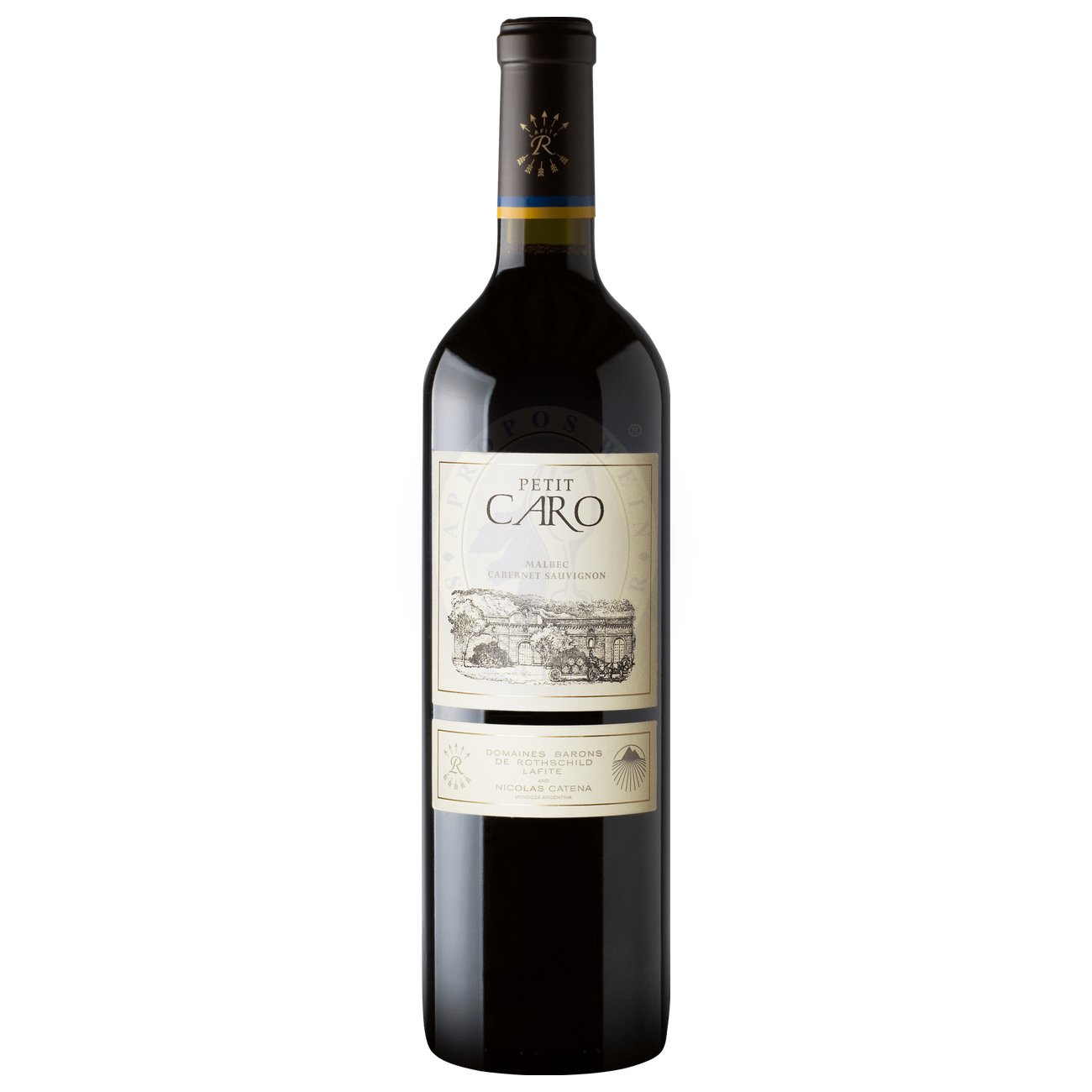 473000 Product Der Petit Caro ist die zweite Weinlinie von Bodegas Caro, die aus der Zusammenarbeit zwischen der Familie Catena (Argentinien) und Château Lafite Rothschild (Frankreich) hervorgegangen ist. Dieser Wein ist eine spannende Cuvée aus Malbec und Cabernet Sauvignon und zeigt eine lebendige, fruchtige Persönlichkeit. In der Nase entfalten sich frische Aromen von schwarzen Johannisbeeren, Erdbeeren und Minze, begleitet von floralen Noten. 7798121461185-2021