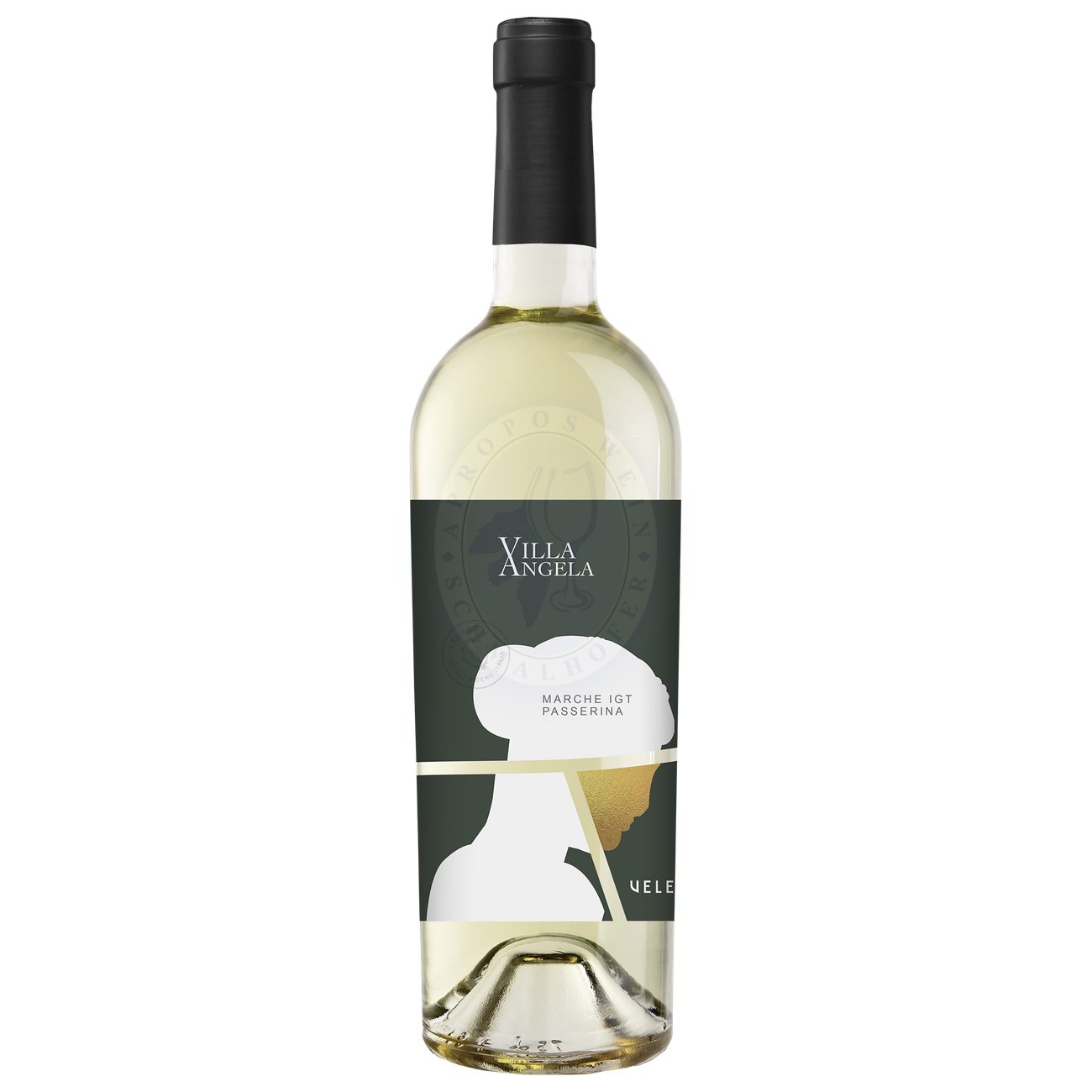 473828 Product Nach Blüten, Kernobst und Grapefruit duftender Wein. Sein Geschmack zeichnet sich durch Frische und Würze, durch delikate Frucht und eine schöne Finesse aus. 8025127001695-2023