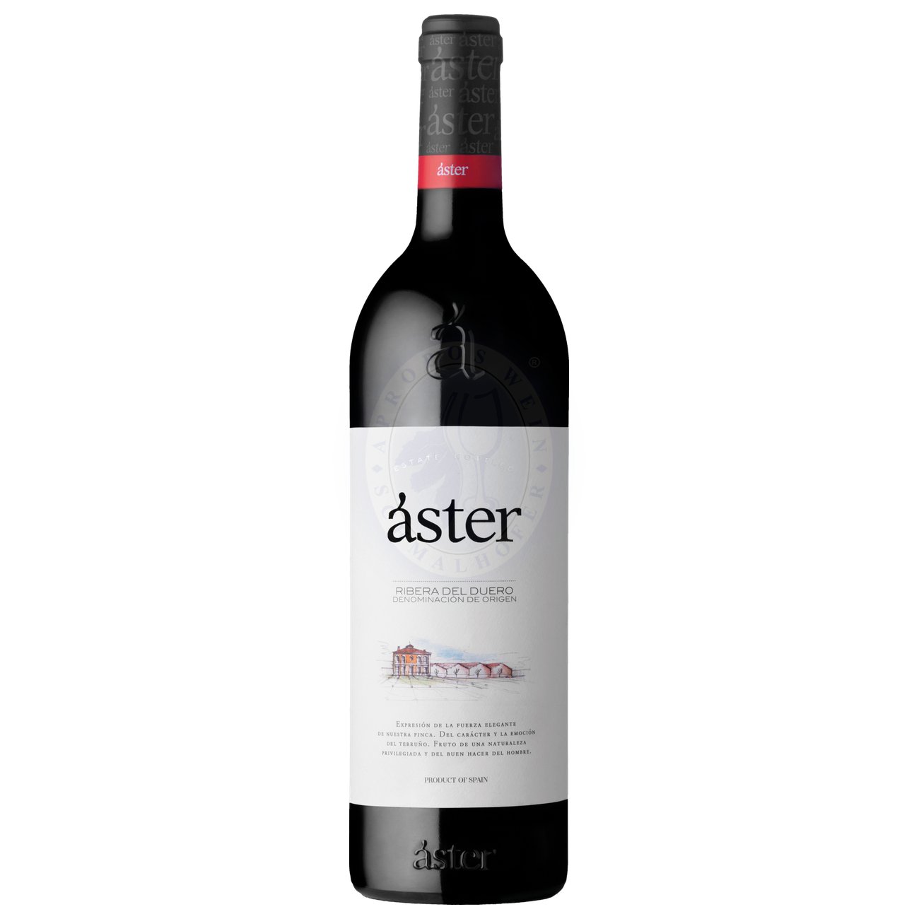 485141 Product Der Áster aus der Einzellage „Finca el Otero“ aus 100% Tinta del Pais (Tempranillo). Intensives Kirschrot. Im Bouquet Noten reifer, dunkler Beerenfrüchte und feine Röstnoten von Toffee und Karamell. 15 Monate in französischen Barriques gereift. Vollmundig mit schön eingebundenen Tanninen. 8413529013000-2019