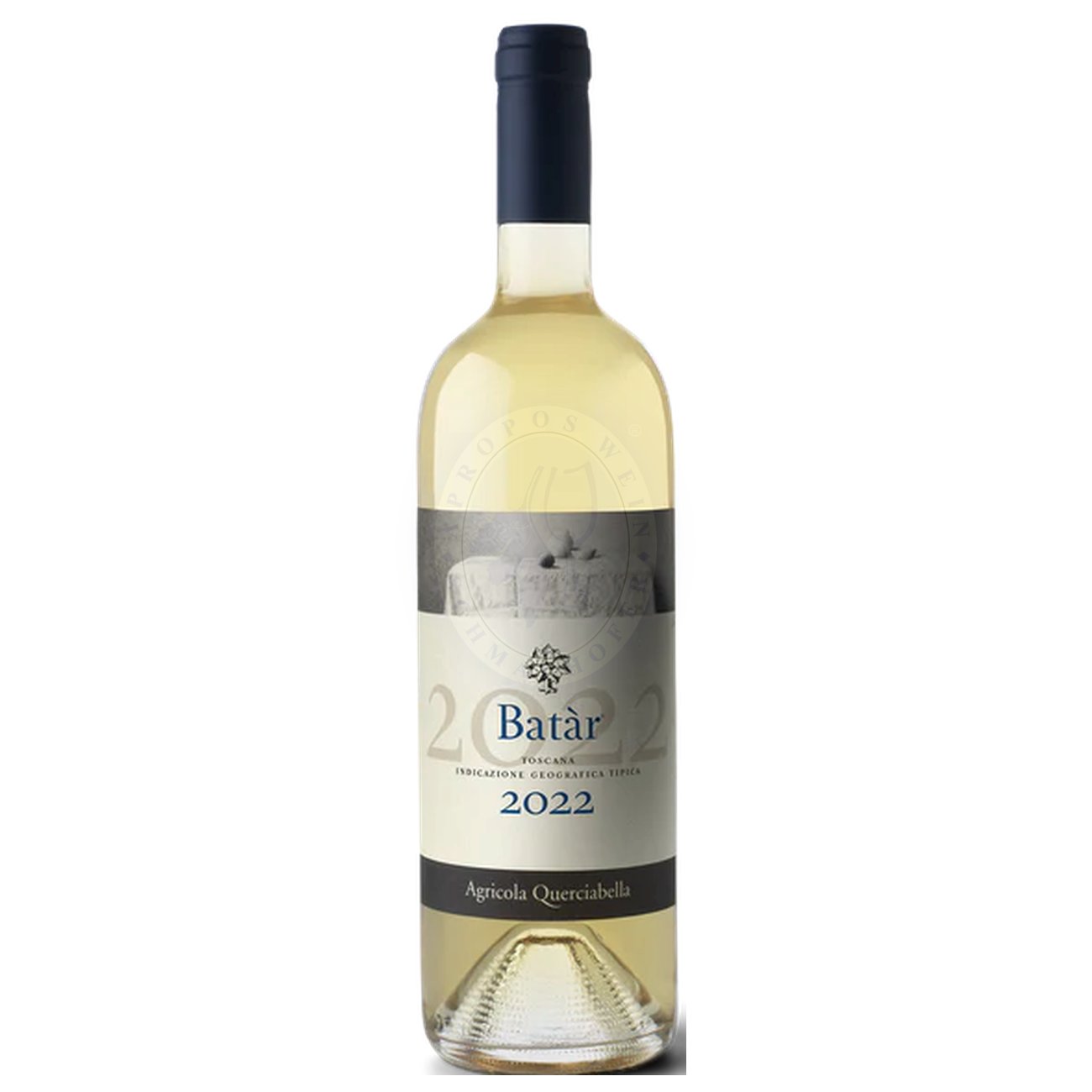 536497 Product Der Jahrgang 2022 präsentiert sich im Glas mit einem leuchtenden Goldgelb und entfaltet ein komplexes Bouquet aus reifen Birnen, gelbem Apfel und Zitrusfrüchten, begleitet von feinen floralen Noten, Honig und einer eleganten Vanillewürze. 8031481005415-2022