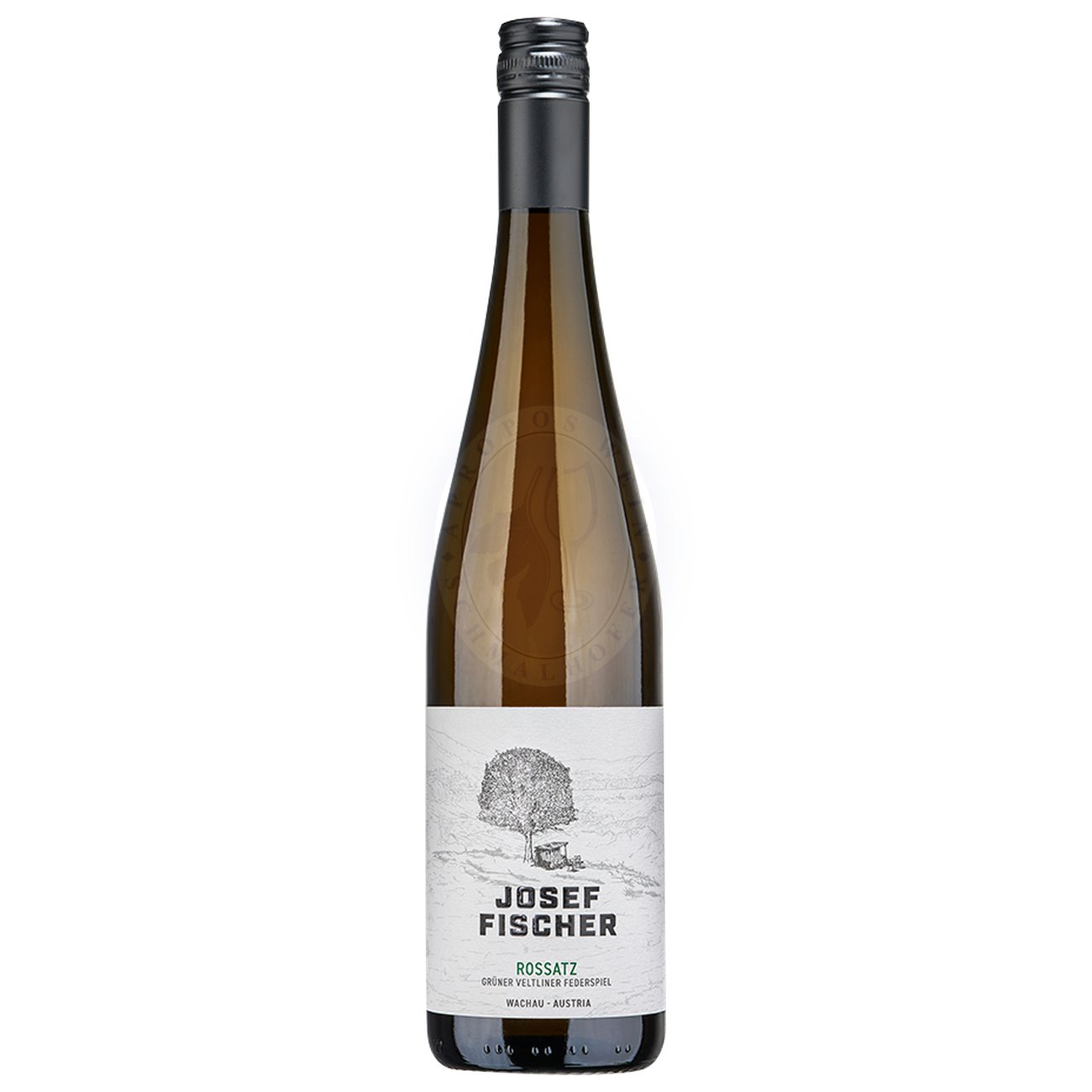 552451 Product Der Grüne Veltliner Rossatz Federspiel 2024 vom Weingut Fischer ist ein klassischer Wachauer Weißwein mit klarer Herkunft, geradlinigem Charakter und eleganter Würze. In der Nase öffnet sich ein frisches Aromenspiel von grünem Apfel, Limette, weißen Blüten und einer feinen Prise weißem Pfeffer. Zarte Noten von frischen Kräutern und eine mineralische Nuance. 9120061312728-2024