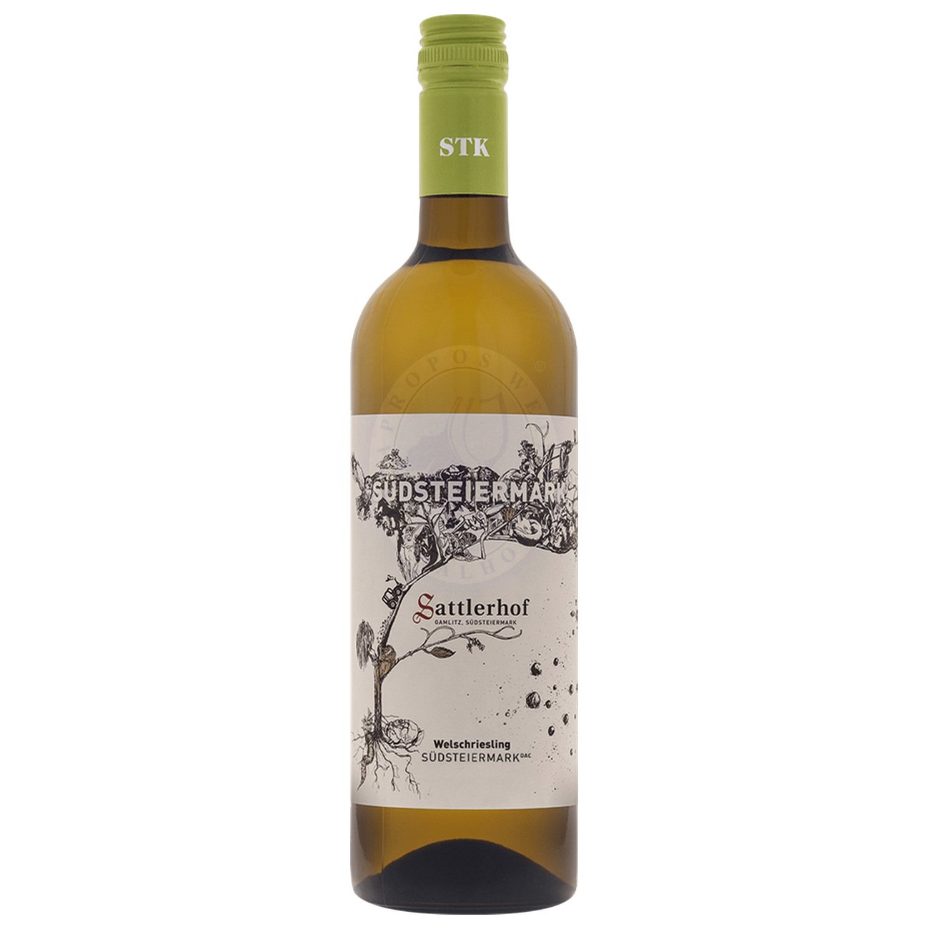 578490 Product In der Nase grüne Äpfel, etwas Aprikose, am Gaumen glockenklare Struktur, animierende Trinkfreude 9120116051275-2024