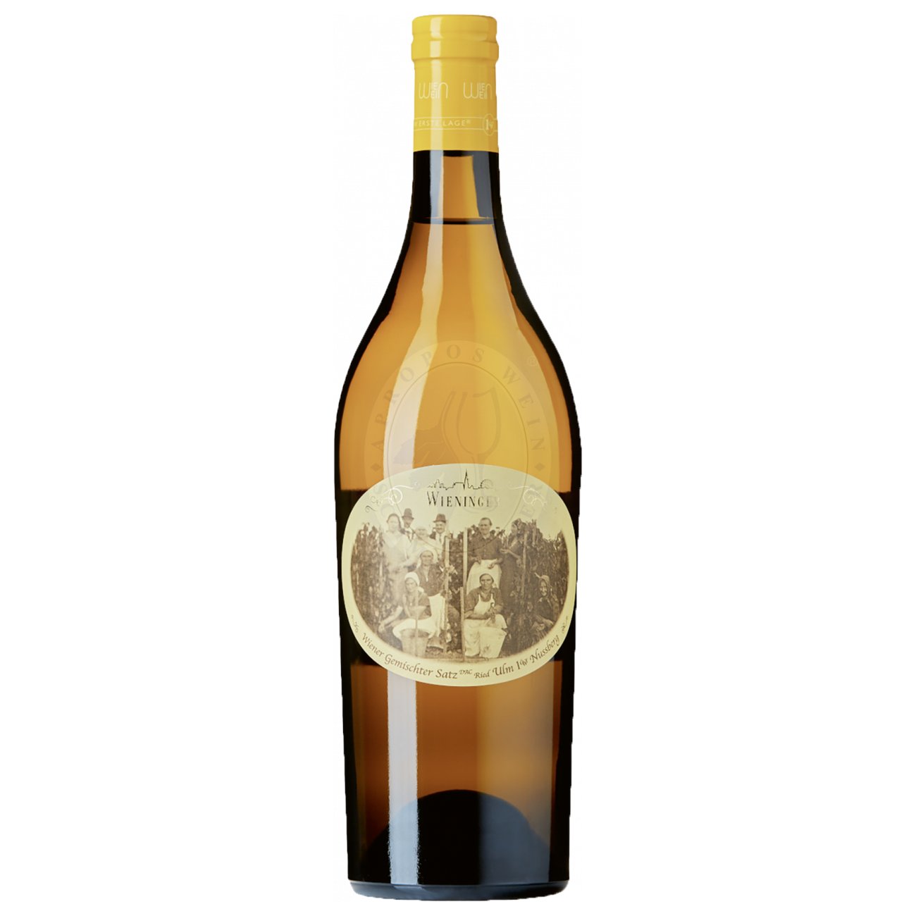 630216 Product Im Glas zeigt sich der Wein in einem leuchtenden Zitronengelb. Das Bouquet ist vielschichtig mit Aromen von gelbem Apfel, Zitrusfrüchten, Pfirsich und Anklängen von Kräutern. 9005629777235-2023