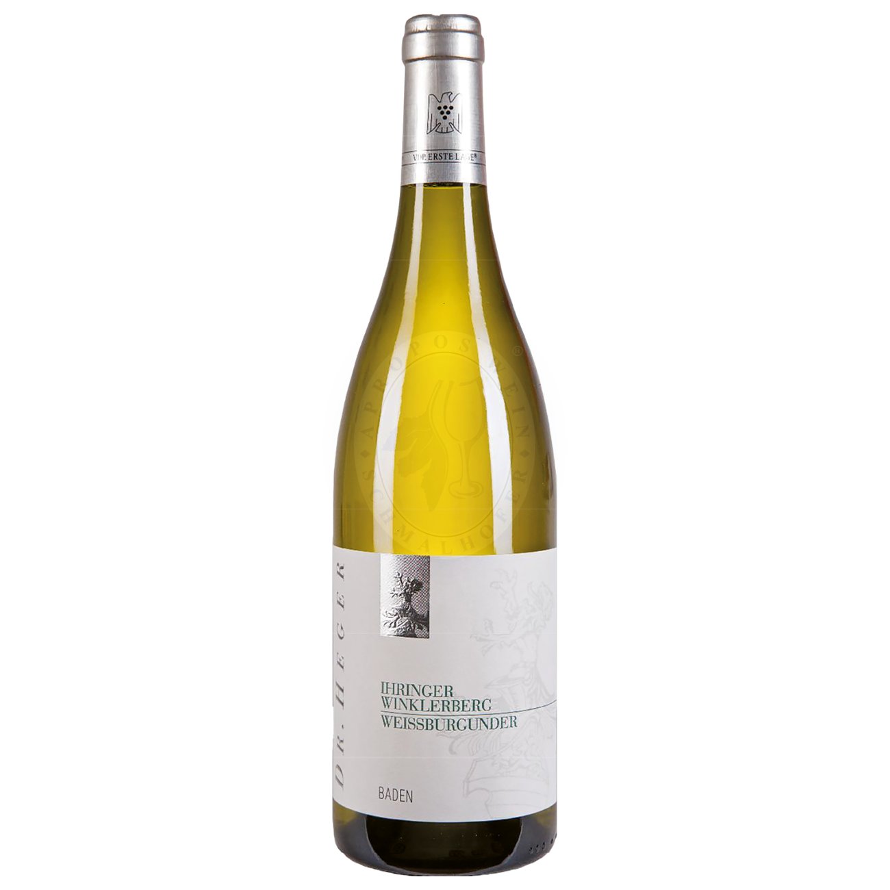 633753 Product Der Jahrgang 2023 zeigt sich im Glas in einem leuchtenden Hellgelb mit goldenen Reflexen. Das Bouquet ist intensiv und vielschichtig mit Aromen von reifem gelbem Apfel, Birne und Mirabelle, begleitet von feinen floralen Noten, einem Hauch von Mandeln, Honig und einer subtilen Kräuterwürze. 4033172141062-2023