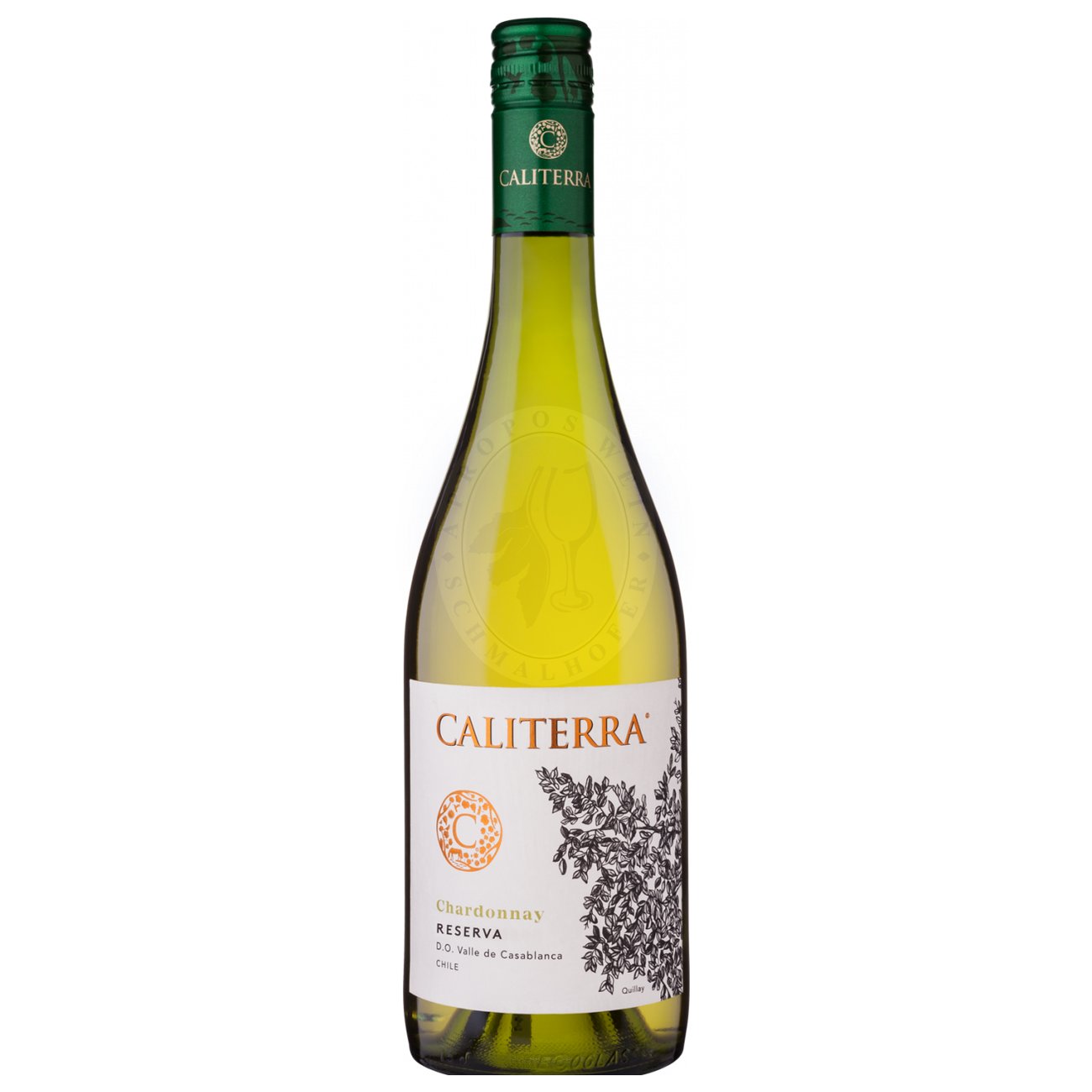 646803 Product Der Chardonnay Reserva D.O. 2021 von Caliterra betört bereits im Glas mit leuchtendem Goldgelb und feinen grünen Reflexen, die einen eleganten visuellen Einstieg liefern. Sein Bouquet bietet eine facettenreiche Fruchtpalette: exotische Noten von Ananas, Grapefruit, Pfirsich und Aprikose verdichten sich mit einem Hauch Vanille 7804304104630-2021