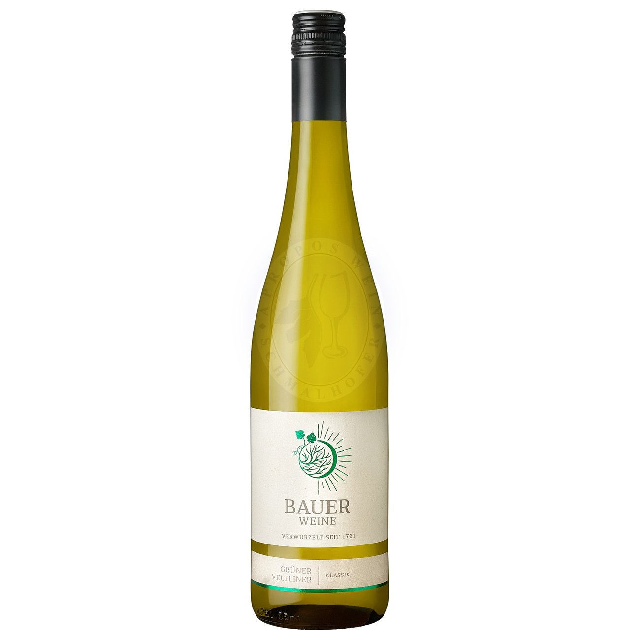 Grüner Veltliner Klassik 2024 Norbert Bauer 0,75l
