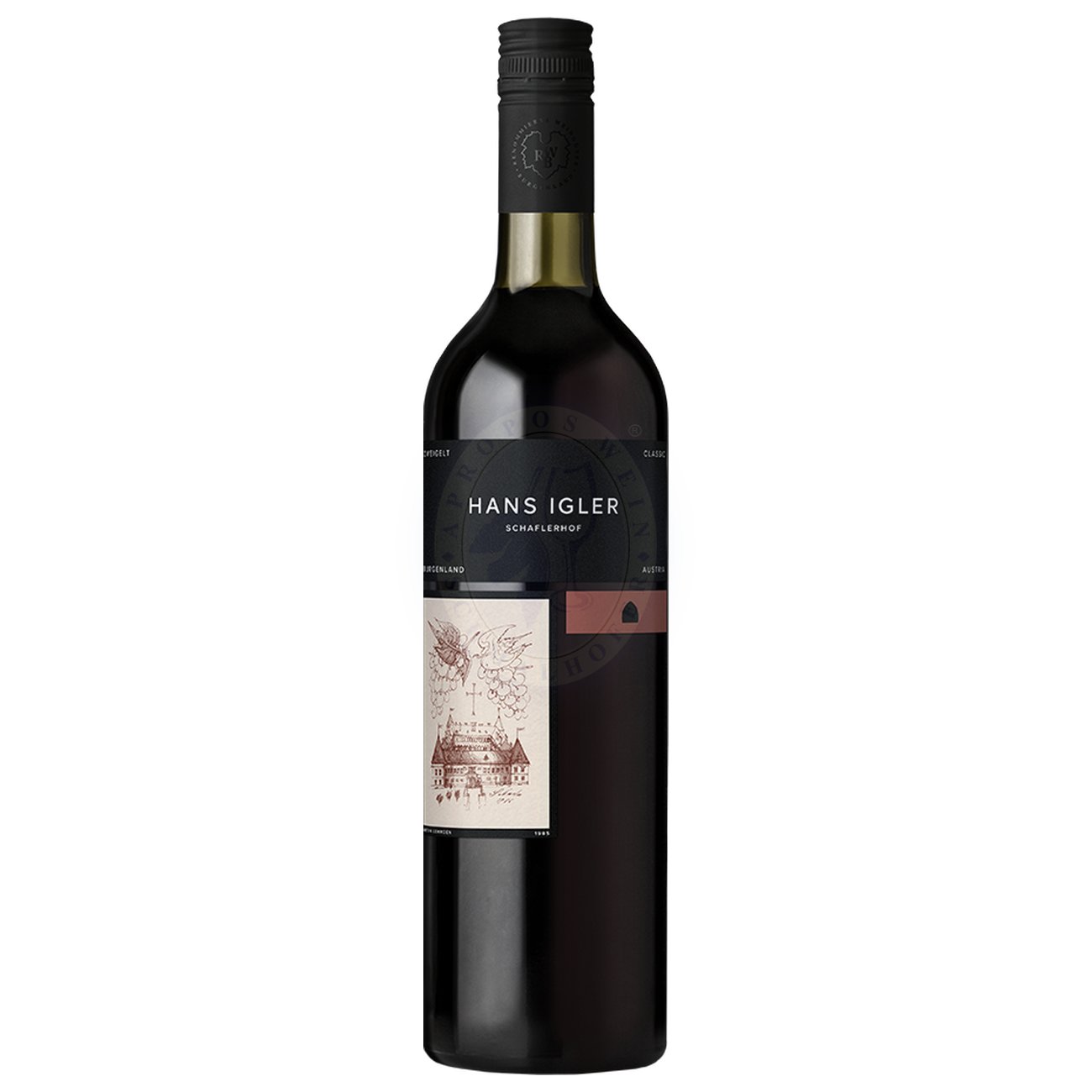 681670 Product Im Glas leuchtet der Zweigelt Classic 2024 in einem kräftigen Rubingranat mit jugendlichen, violetten Reflexen, die seine Frische und Lebendigkeit unterstreichen. Das Bouquet ist wunderbar fruchtbetont und typisch für die Sorte: Es dominieren Aromen von saftigen Herzkirschen und Weichseln, die von einer feinen Beerenfrucht und zarten kräuterwürzigen Nuancen begleitet werden. Der Ausbau, der den Fokus bewusst auf die reine Frucht legt, verleiht dem Wein eine klare und präzise Nase. 9120018584307-2022