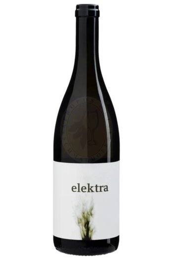 685817 Product 9008303003279-2022